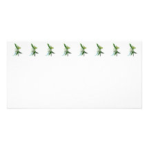 Two White Asiatic Lilies Picture Card