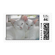 Two white cats postage stamps