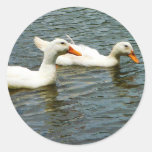 Two White Ducks Sticker