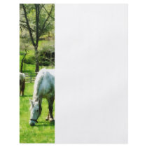 Two White Horses Grazing Flyer
