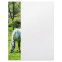 Two White Horses Grazing letterhead
