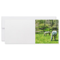 Two White Horses Grazing Custom Rack Card
