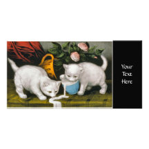 Two White Kittens spilling milk Photo Card