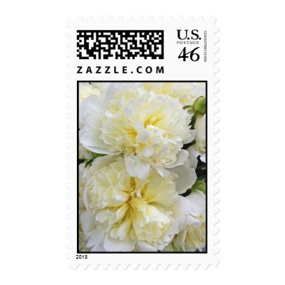 Two White Peonies Postage Stamp