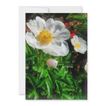 Two White Poppies invitations