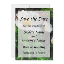 Two White Poppies invitations