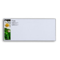 Two White Poppies envelopes