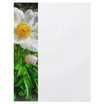 Two White Poppies Full Color Flyer