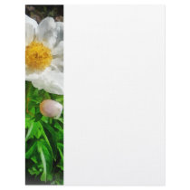 Two White Poppies letterhead