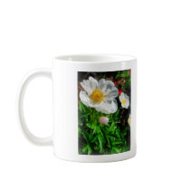 Two White Poppies mugs