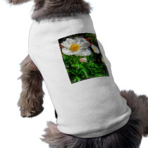 Two White Poppies pet clothing