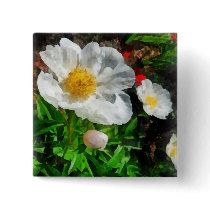 Two White Poppies buttons