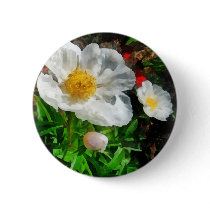 Two White Poppies buttons