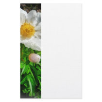 Two White Poppies stationery