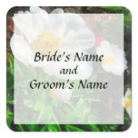 Two White Poppies Sticker Two White Poppies Sticker