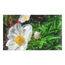 Two White Poppies stickers