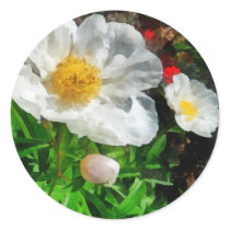 Two White Poppies stickers