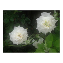 Two White posters by TerminalJuncture Two White posters