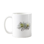 chrysanthemum, mums, white, spider, bloom, flower,