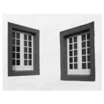 Two Windows Custom Flyer