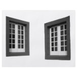 Two Windows Custom Flyer
