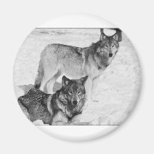 Two Wolves Magnet