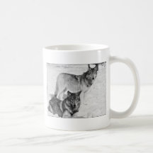 Two Wolves Mug