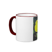 Two Yellow Hibiscus mugs by cherylarogers Two Yellow Hibiscus mugs