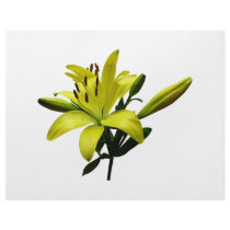 Two Yellow Lilies Letterhead
