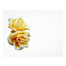Two Yellow Roses Custom Letterhead