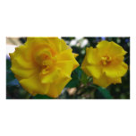 Two Yellow Roses Photo Cards