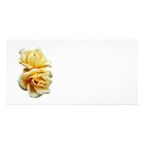 Two Yellow Roses Picture Card