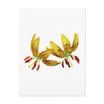 Two Yellow Tiger Lilies postcards