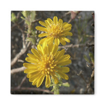 Two yellow wildflowers. magnets