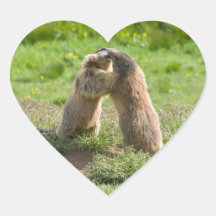 two young marmots heart stickers
