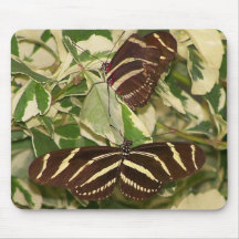Two zebra butterflies on foliage mousepad