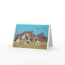 two zebras in love cards