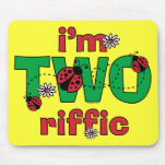 TWOriffic Ladybug 2nd Birthday Mouse Pads