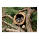 Two's Company cards by providencephoto Two's Company cards