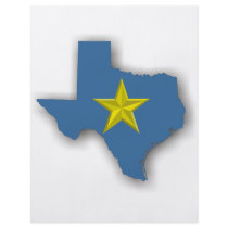 TX - A Blue State! flyers