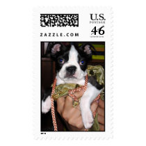 TY postage by violaquestion TY postage