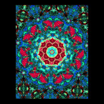 tye dye mushrooms 3 posters