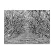 Tyee Hazelnuts postcards by KROPWD Tyee Hazelnuts postcards