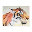 "Tyger, Tyger" postcards by zipora "Tyger, Tyger" postcards