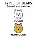 TYPES OF BEARS t-shirts
