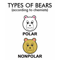 TYPES OF BEARS t-shirts