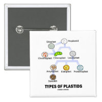 Types Of Plastids 2 Inch Square Button
