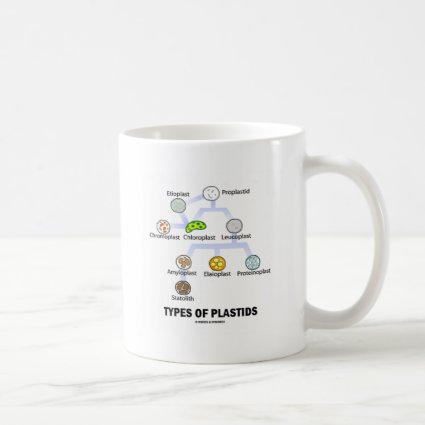 Types Of Plastids Mug