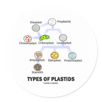 Types Of Plastids Round Sticker