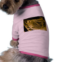 typewriter pet clothing pet clothing